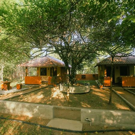 Hotel Niyagala Lodge Сигирия Екстериор снимка