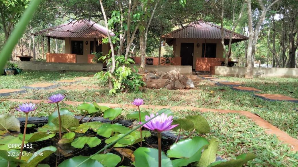 Hotel Niyagala Lodge Сигирия Екстериор снимка