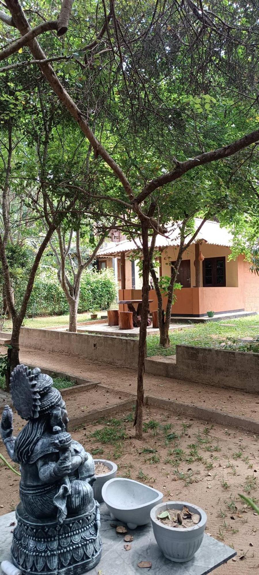 Hotel Niyagala Lodge Сигирия Екстериор снимка