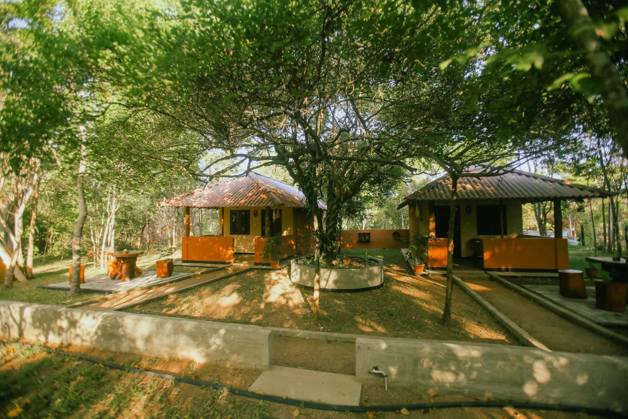 Hotel Niyagala Lodge Сигирия Екстериор снимка