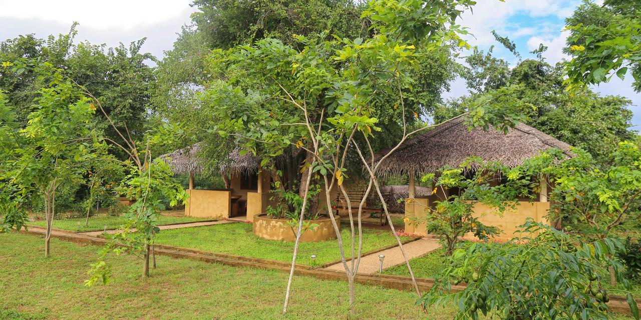 Hotel Niyagala Lodge Сигирия Екстериор снимка